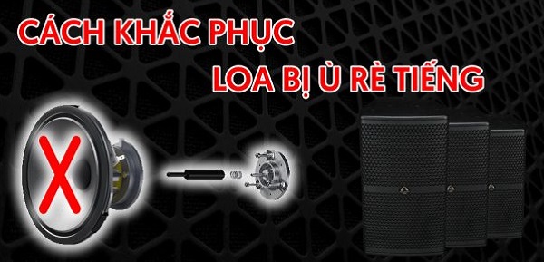 Top 5 Nguyên Nhân JBL Pasion 12 Bị Rè Khi Mở Lớn