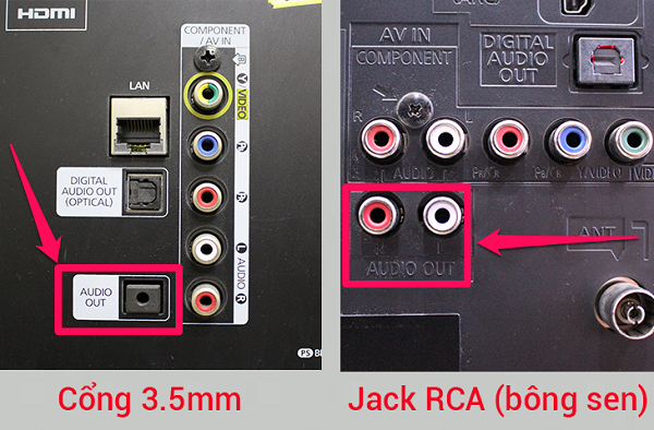 Các Cổng Kết Nối Loa Kéo