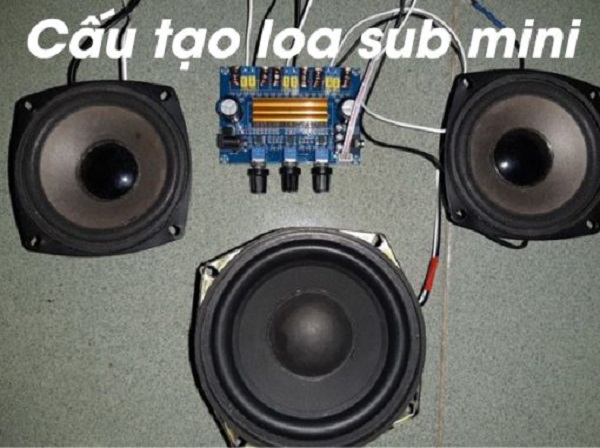 Cấu Tạo Loa Sub Điện Mini
