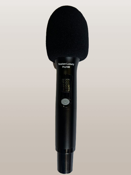 Chất Âm Boston Luxury Pro 100