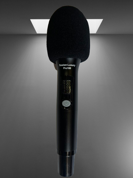 Giá Thành Của Micro Boston Luxury  Pro 100