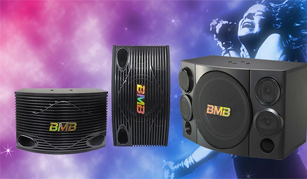 Hướng Dẫn Bảo Dưỡng Loa BMB