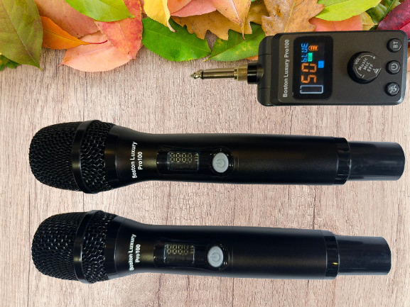 Hướng Dẫn Sử Dụng Micro Boston Luxury Pro 100